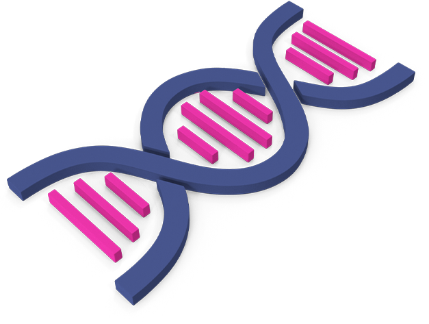 Experiências | Nos temas de genética e melhoramento animal